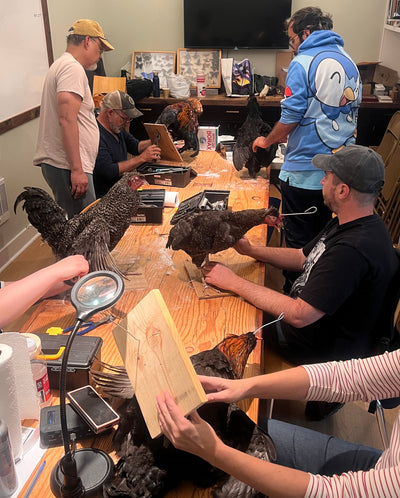 DIY Taxidermy Rooster Workshop-Workshop-Geoffrey Vassallo-PaxtonGate