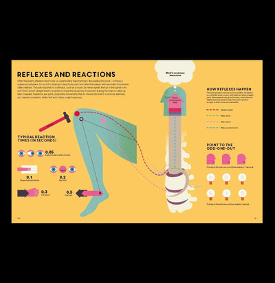 Information Graphics: Human Body-Books-Penguin Random House-PaxtonGate