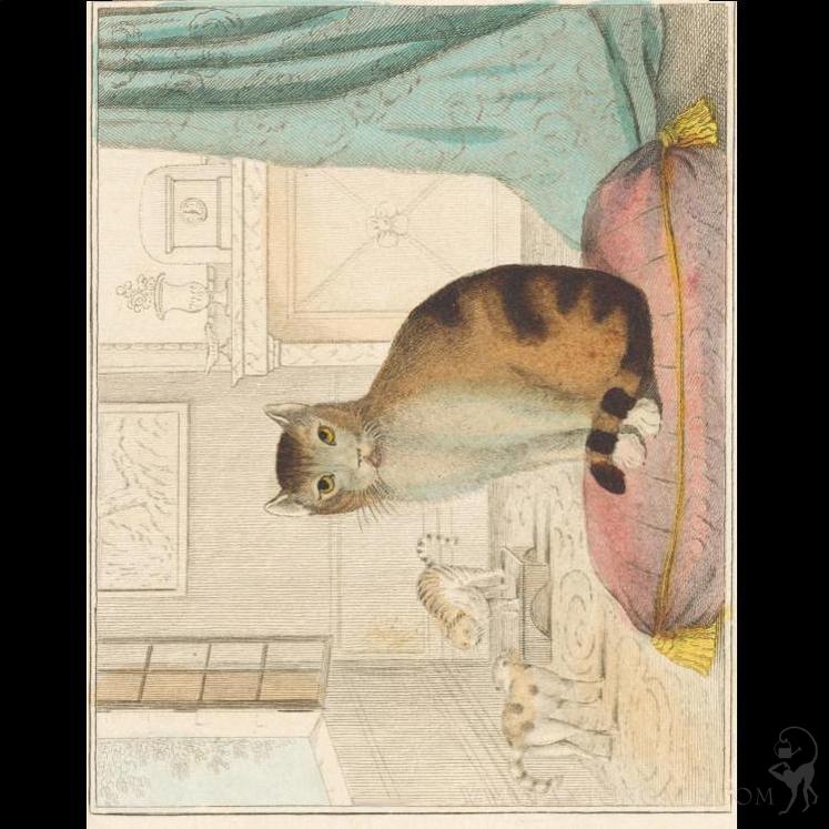 John Derian Picture Book ジョンデリアン * 2_3D-cover_500x.gif?v=1718945781