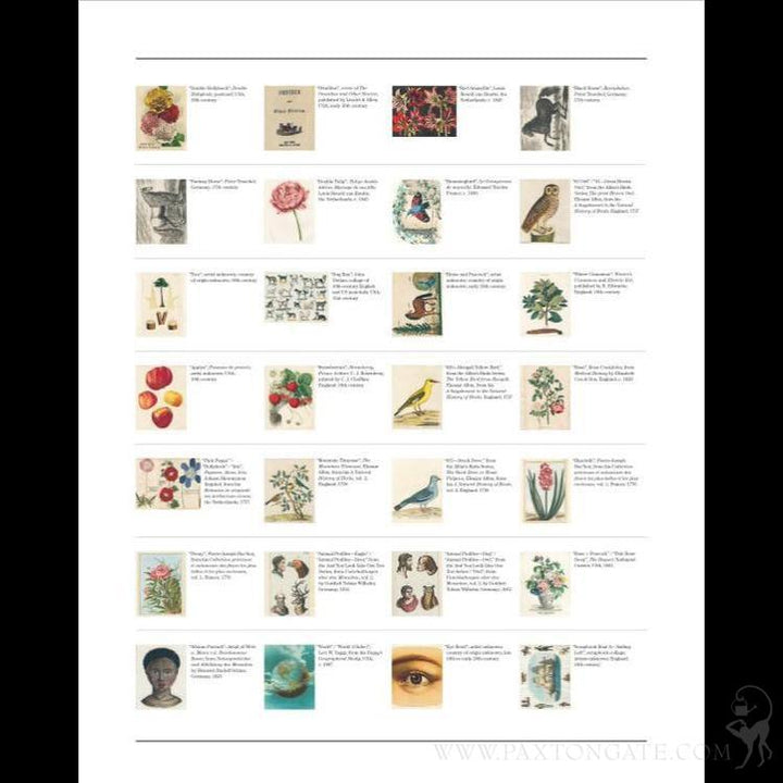 ジョンデリアン　ピクチャーブック JOHN DERIAN】ピクチャーブック Picture Book | フィールシーン