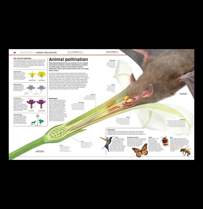 Knowledge Encyclopedia Plants and Fungi-Books-Penguin Random House-PaxtonGate