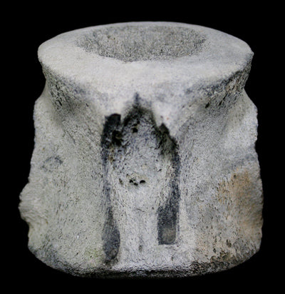 Large Fossilized Whale Vertebrae - Paxton Gate