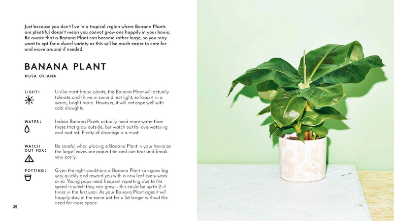 Little Book of Houseplants and Other Greenery - Paxton Gate