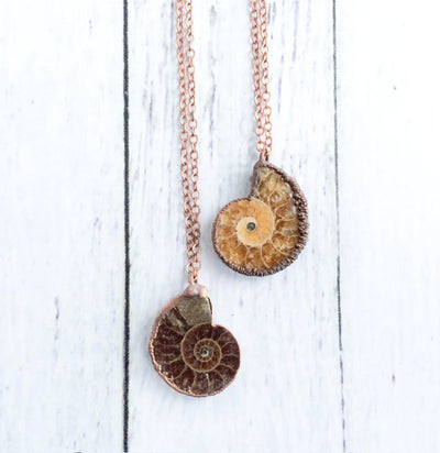 Madagascar Ammonite Necklace - Paxton Gate