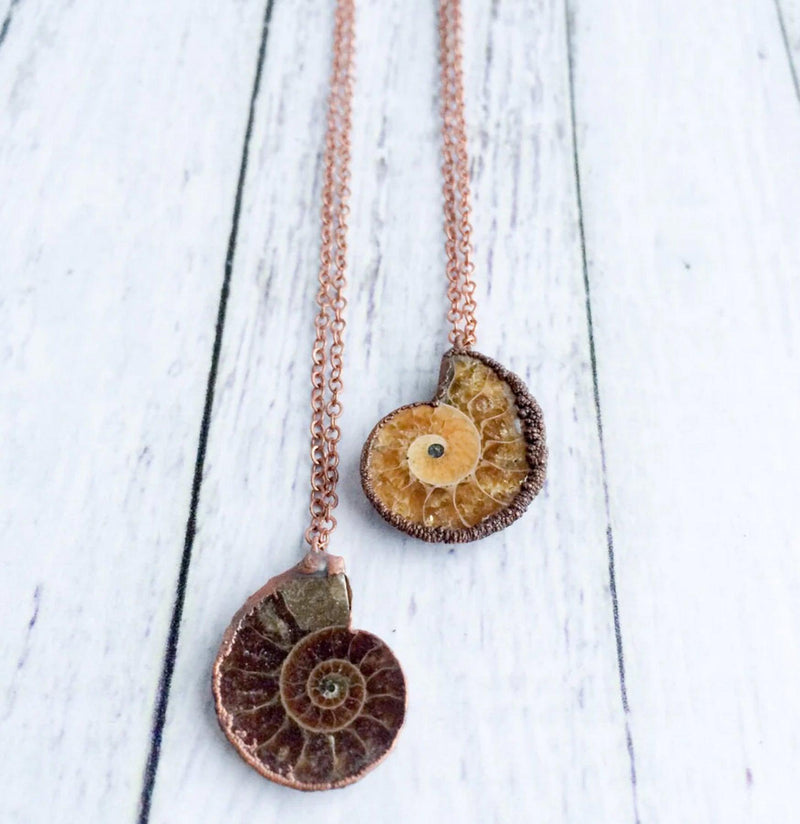 Madagascar Ammonite Necklace - Paxton Gate