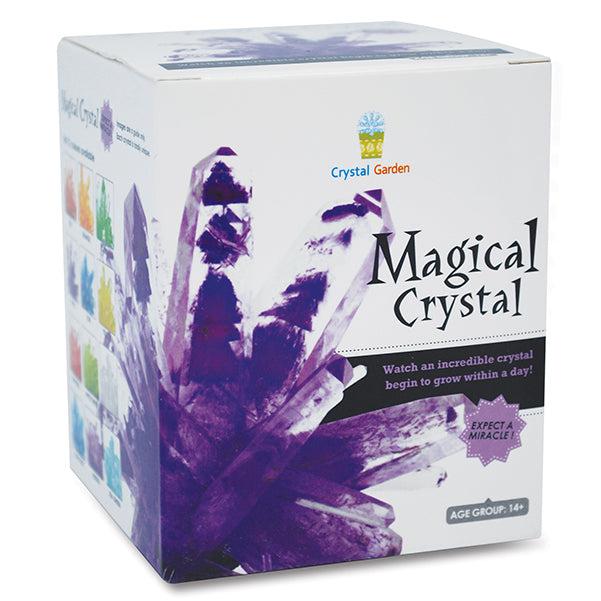 Magical Crystal Grow Kit - Paxton Gate