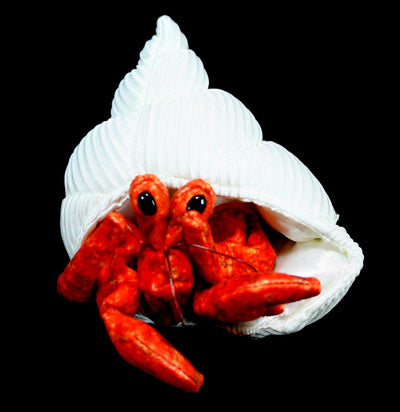 Mini Hermit Crab Puppet - Paxton Gate