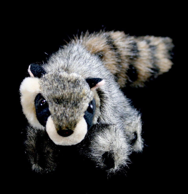 Mini Raccoon Finger Puppet - Paxton Gate