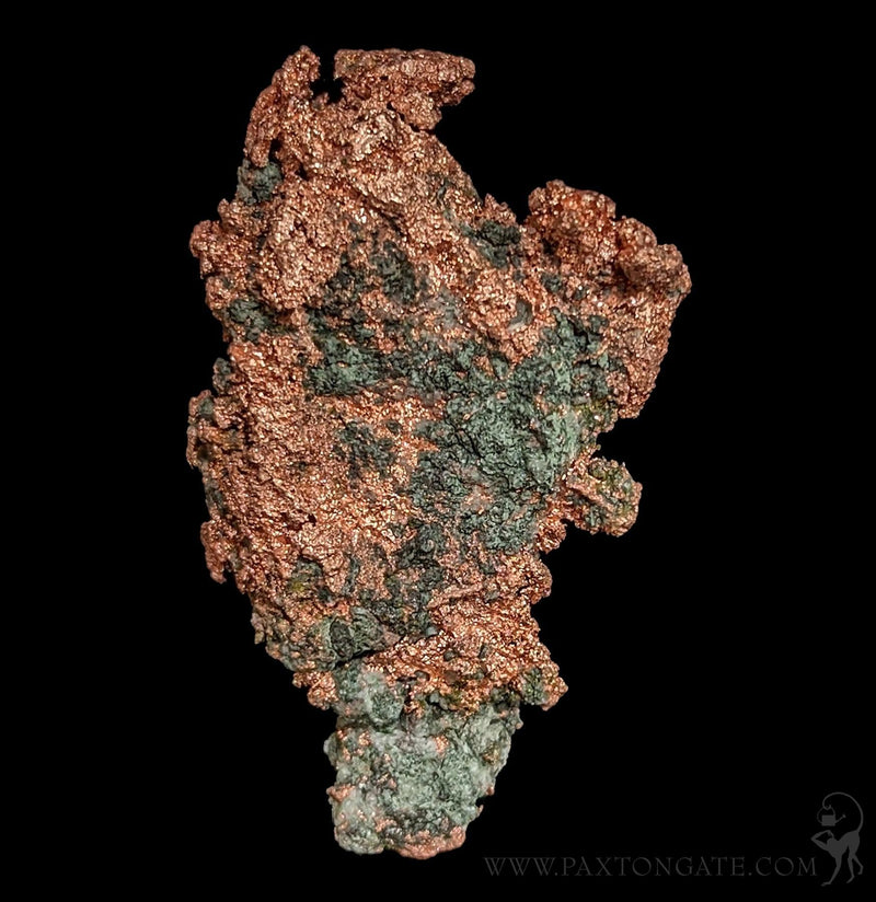Native Copper Virginia Native Copper – Paxton Gate