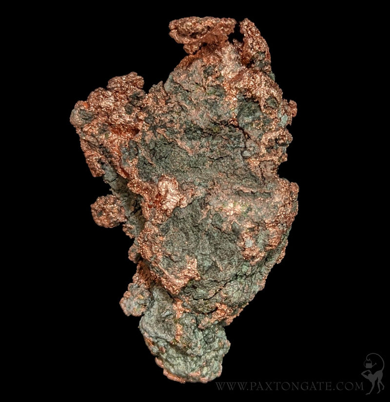 Native Copper Virginia Native Copper – Paxton Gate