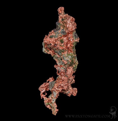 Native Copper Virginia Native Copper – Paxton Gate