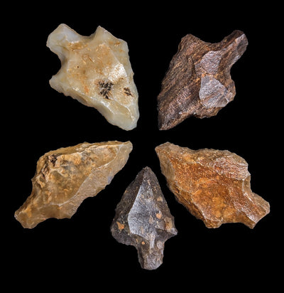 Paleolithic Ethiopian Arrowhead-Fossils-Sahara Overland-PaxtonGate