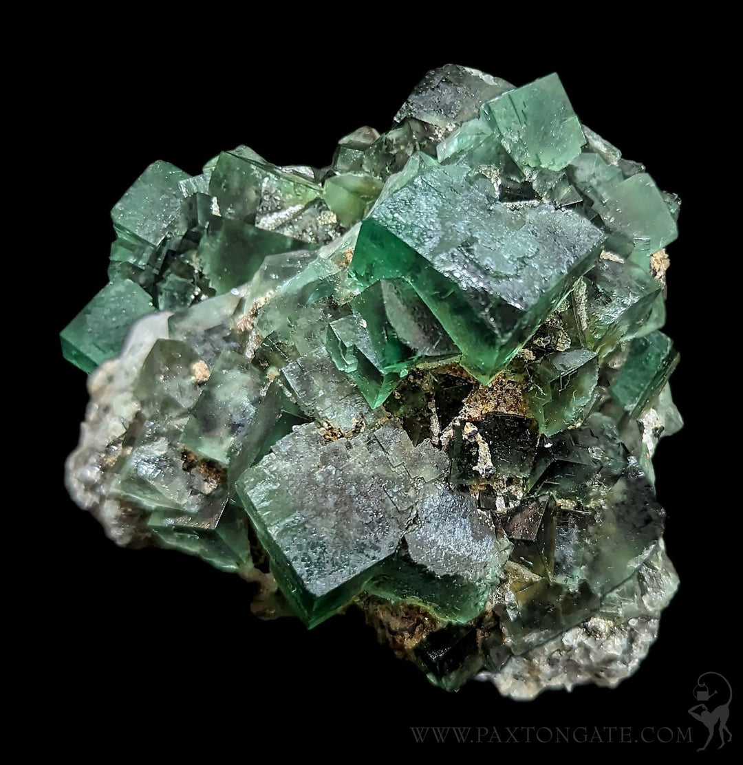 Northern Lights Pocket Fluorite Crystal Clusters For Sale | Paxton