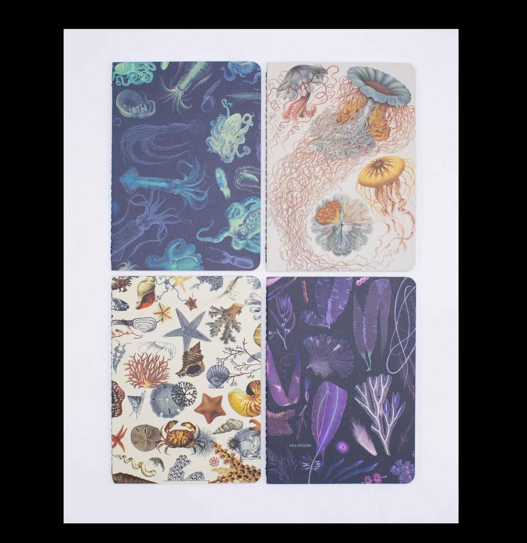 Ocean Pocket Notebook 4-Pack – Paxton Gate