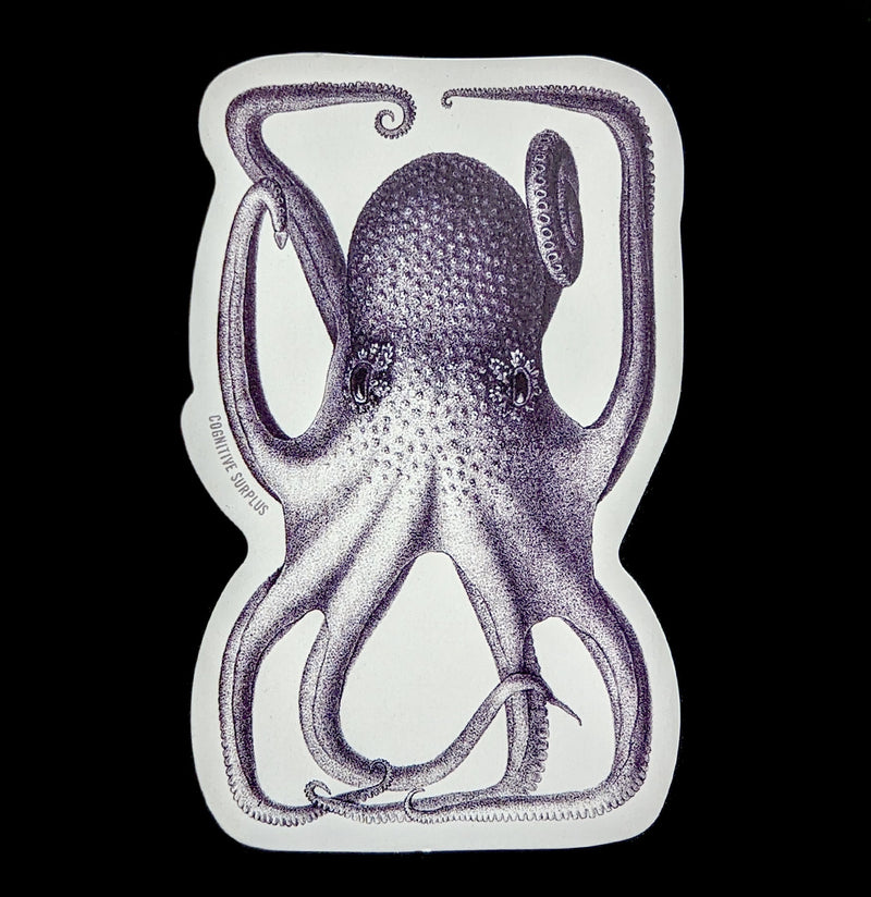 Octopus in a Box Sticker-Stickers-Cognitive Surplus-PaxtonGate