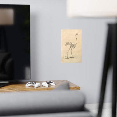 Ostrich Skeleton Matte Poster - Paxton Gate