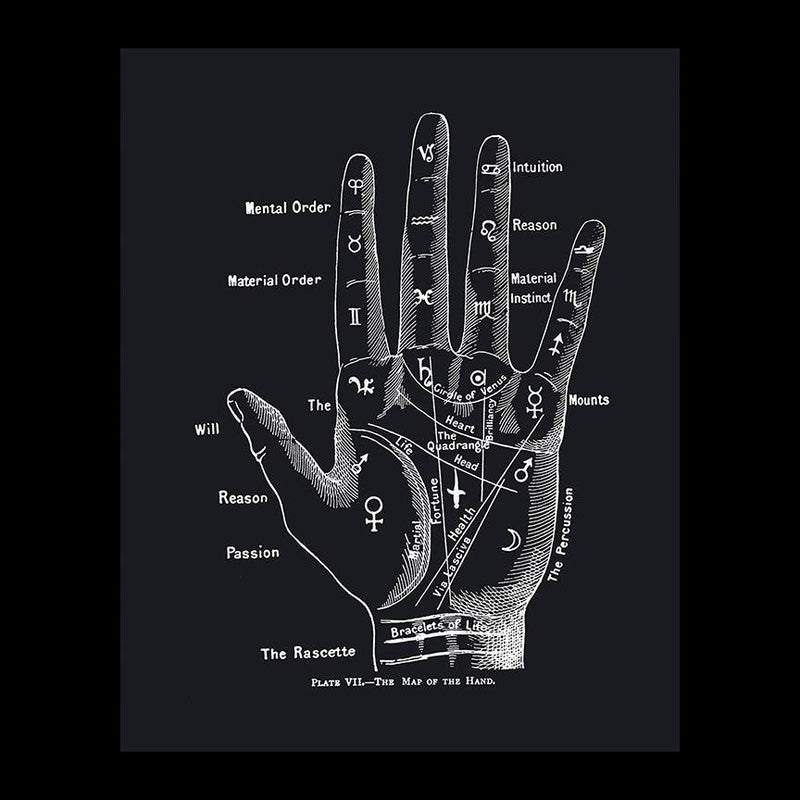 Palmistry Chart Print - Paxton Gate