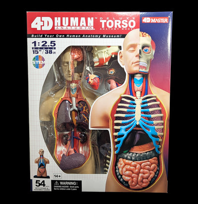 4D Human Anatomy Deluxe Torso-Kids-Tedco-PaxtonGate