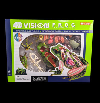 4D Vision Frog Model-Kids-Tedco-PaxtonGate