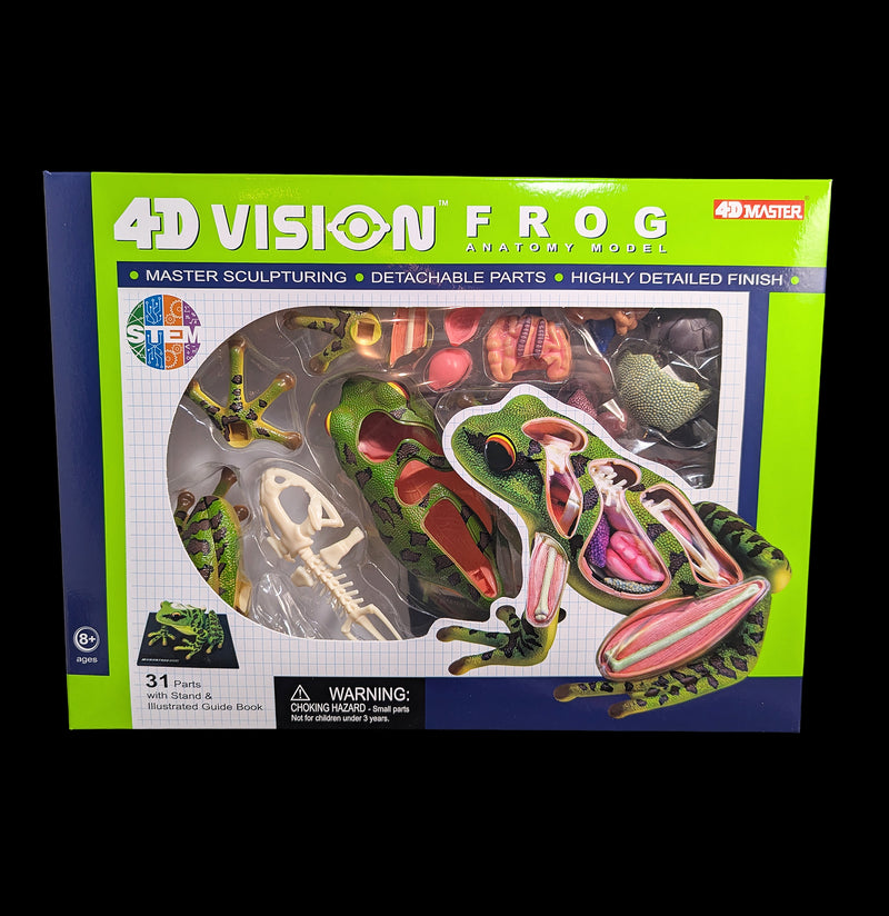 4D Vision Frog Model-Kids-Tedco-PaxtonGate