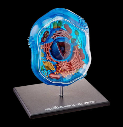 4D Vision Animal Cell-Kids-Tedco-PaxtonGate