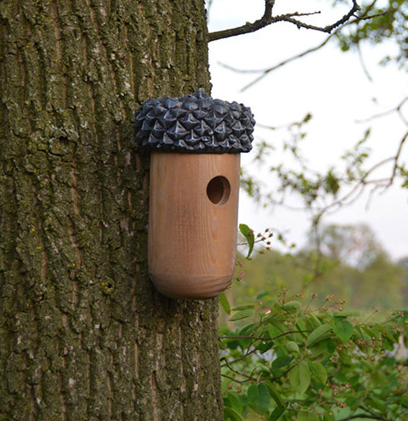 Acorn Bird House – Paxton Gate
