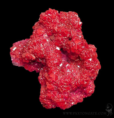 Alum Cluster-Minerals-Sokolowski Minerals-PaxtonGate