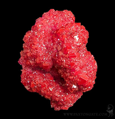Alum Cluster-Minerals-Sokolowski Minerals-PaxtonGate