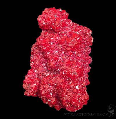 Alum Cluster-Minerals-Sokolowski Minerals-PaxtonGate