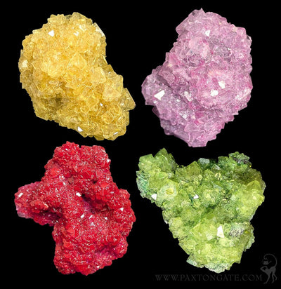 Alum Cluster-Minerals-Sokolowski Minerals-PaxtonGate