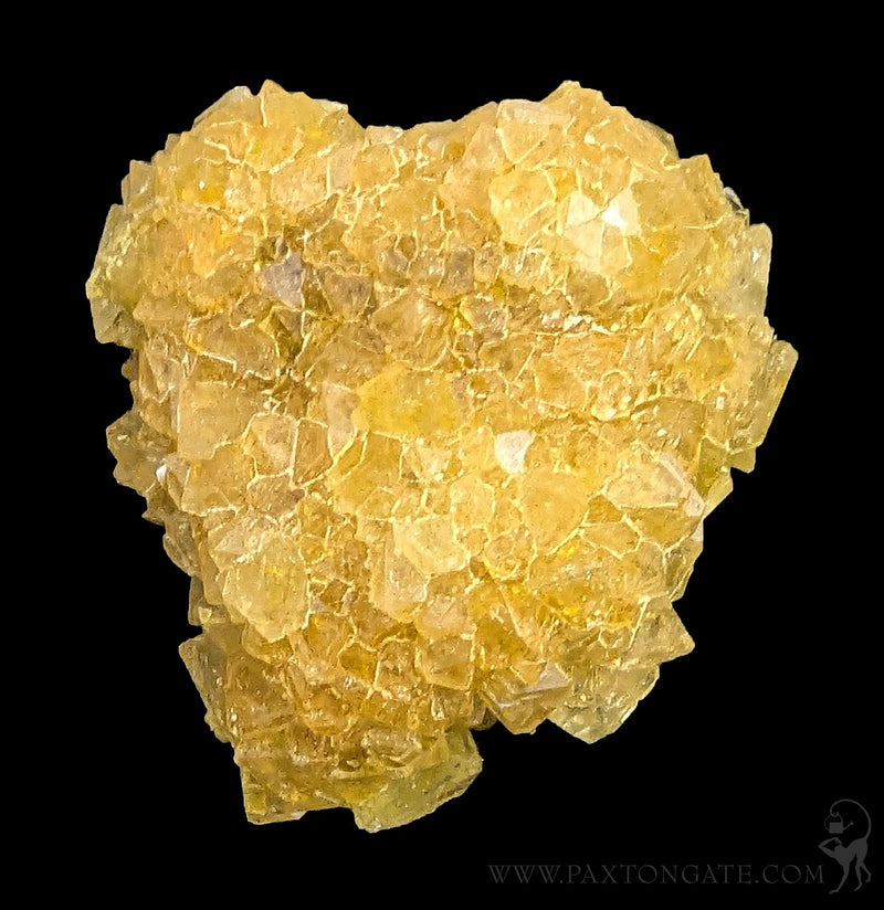 Alum Cluster-Minerals-Sokolowski Minerals-PaxtonGate