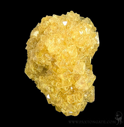 Alum Cluster-Minerals-Sokolowski Minerals-PaxtonGate