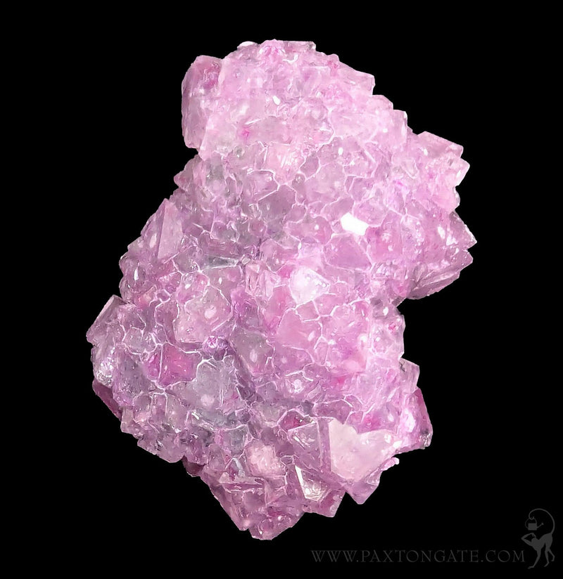 Alum Cluster-Minerals-Sokolowski Minerals-PaxtonGate