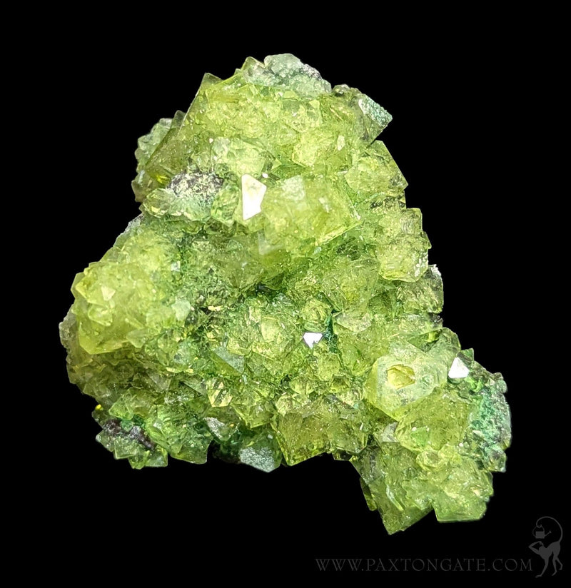 Alum Cluster-Minerals-Sokolowski Minerals-PaxtonGate