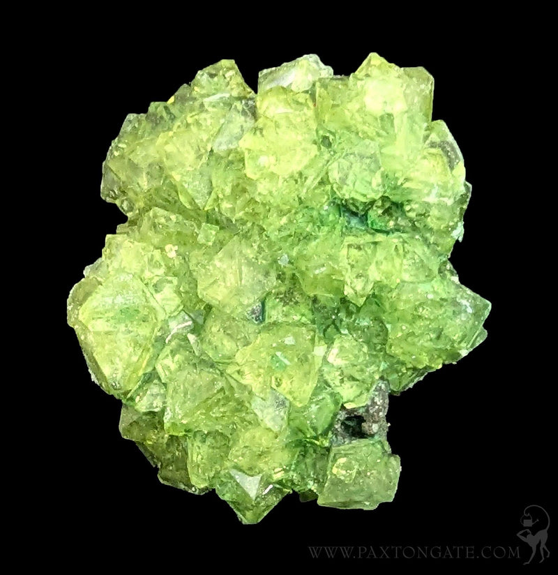 Alum Cluster-Minerals-Sokolowski Minerals-PaxtonGate
