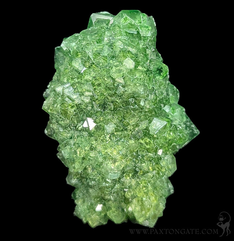 Alum Cluster-Minerals-Sokolowski Minerals-PaxtonGate