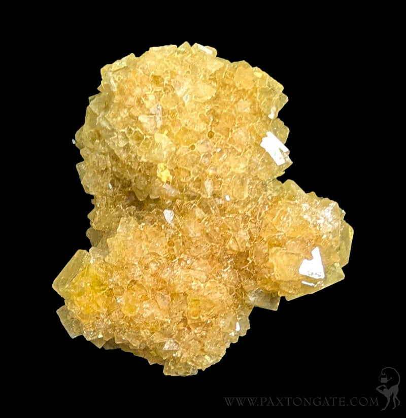 Alum Cluster-Minerals-Sokolowski Minerals-PaxtonGate