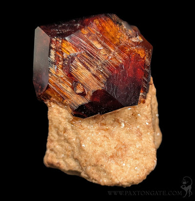Arcanite Crystal On A Matrix-Minerals-Sokolowski Minerals-PaxtonGate