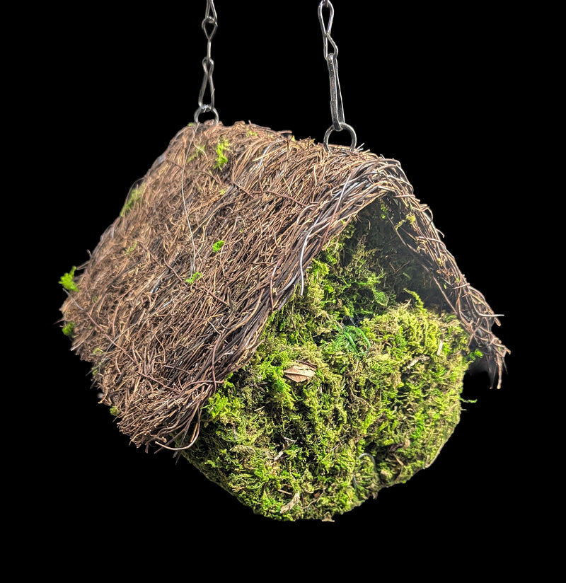 Log Woven Moss Birdhouse-Garden Supplies-SuperMoss-PaxtonGate