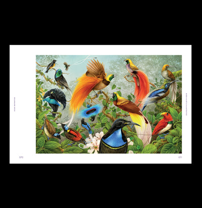 Avian Inspiration: Art & Design Inspired by Wild Nature-Books-Gingko Press-PaxtonGate