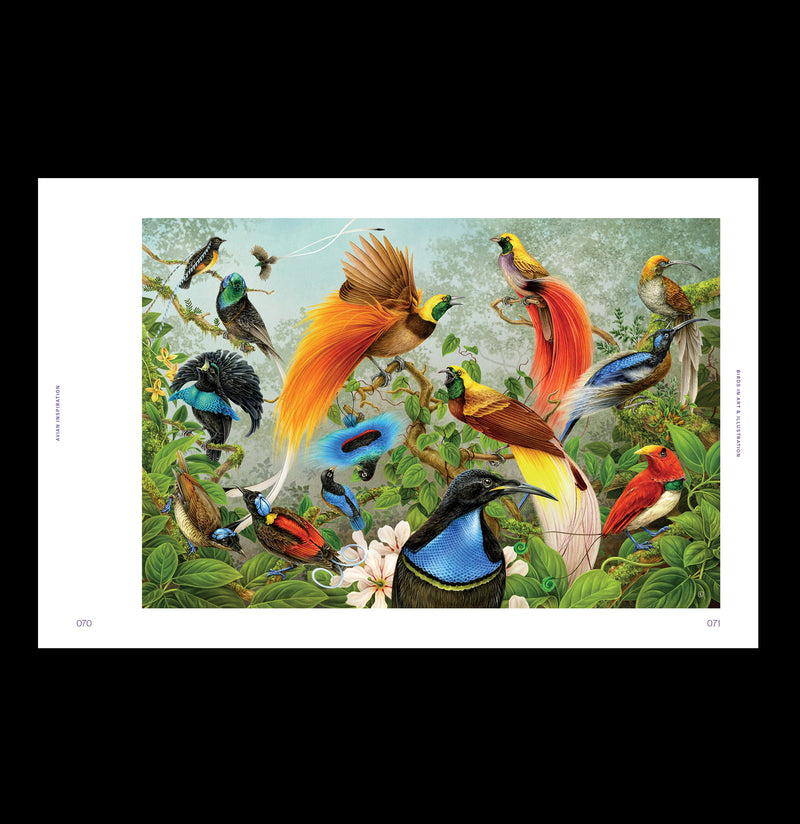 Avian Inspiration: Art & Design Inspired by Wild Nature-Books-Gingko Press-PaxtonGate
