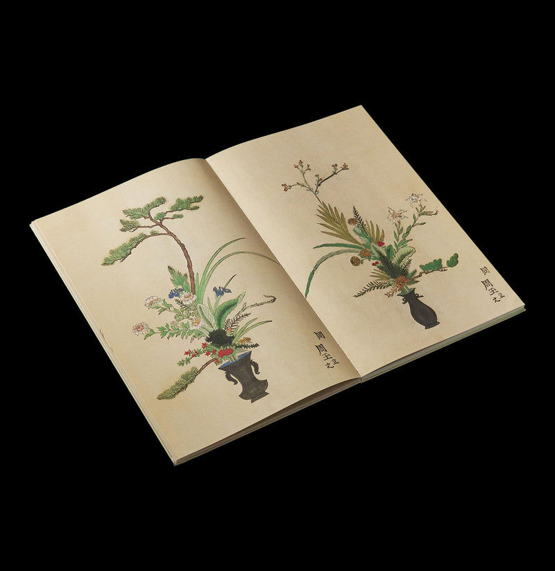 Ikebana: The Art and Beauty of Flower Arranging For Sale | Paxton Gate