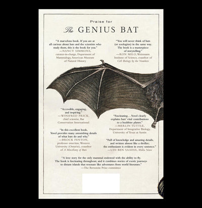 The Genius Bat - The Secret Life of the Only Flying Mammal-Books-Macmillan-PaxtonGate