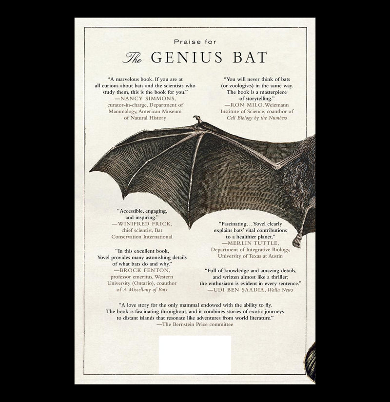 The Genius Bat - The Secret Life of the Only Flying Mammal-Books-Macmillan-PaxtonGate