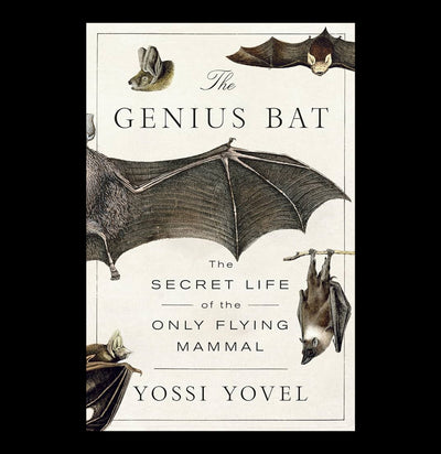 The Genius Bat - The Secret Life of the Only Flying Mammal-Books-Macmillan-PaxtonGate