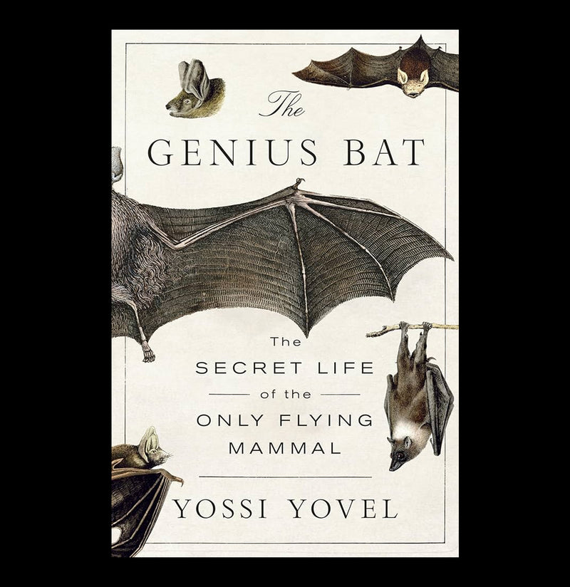 The Genius Bat - The Secret Life of the Only Flying Mammal-Books-Macmillan-PaxtonGate