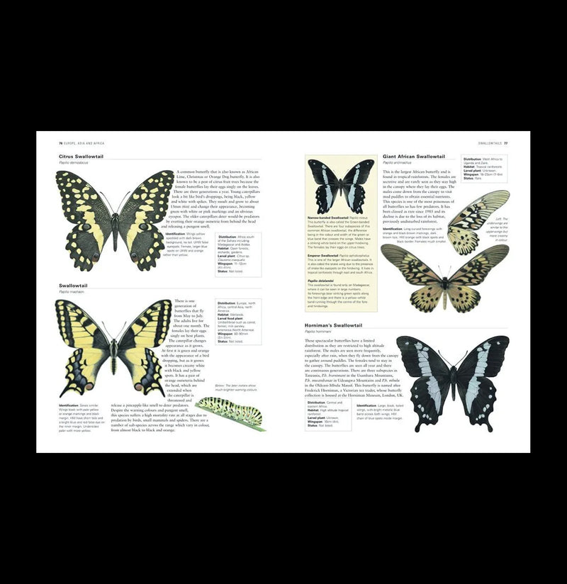 World Encyclopedia of Butterflies & Moths For Sale | Paxton Gate