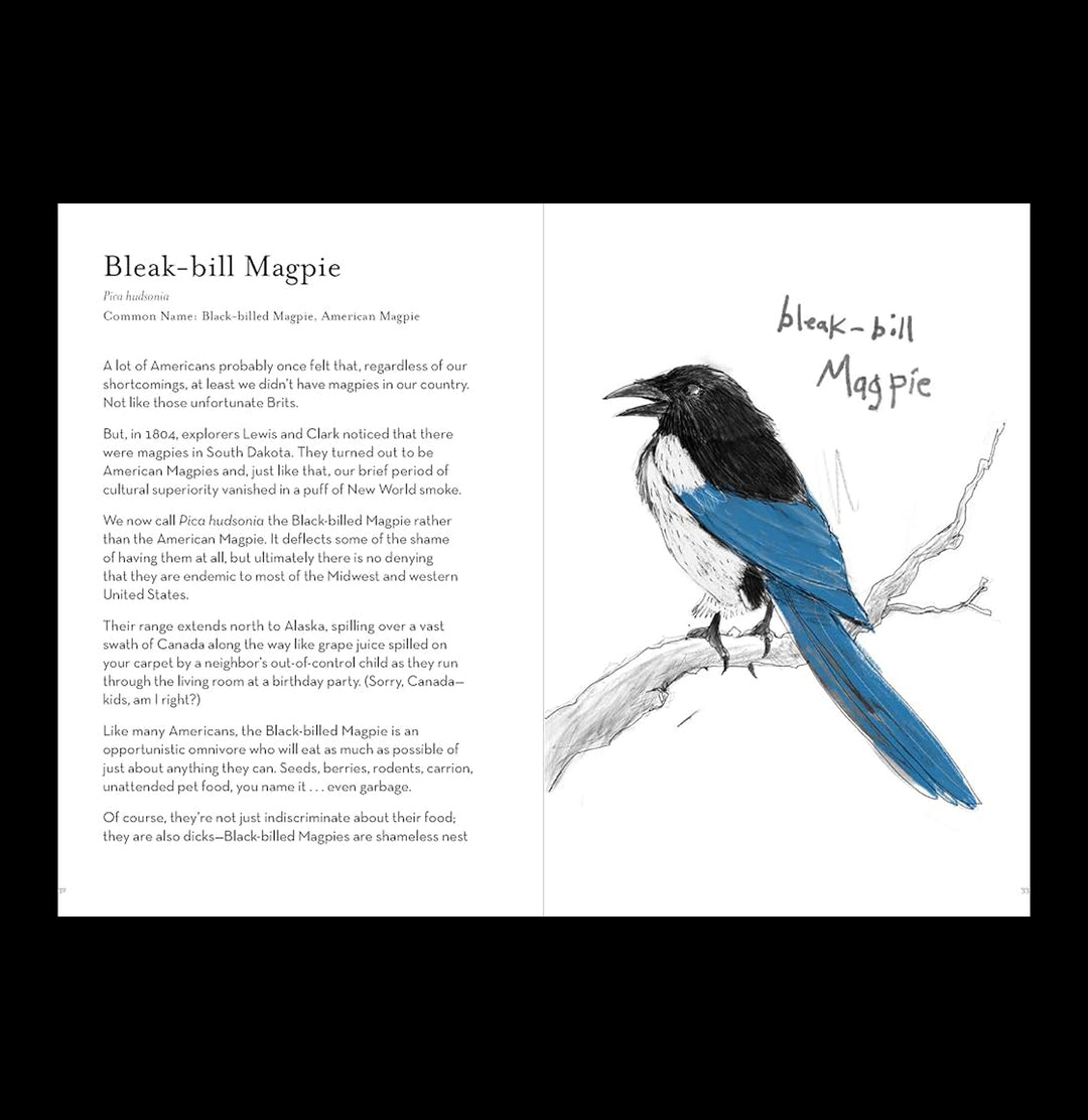 A Dumb Birds Field Guide to the Worst Birds Ever For Sale | Paxton