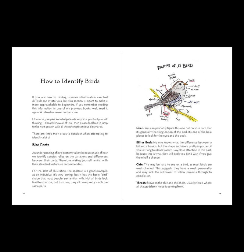 A Dumb Birds Field Guide to the Worst Birds Ever For Sale | Paxton