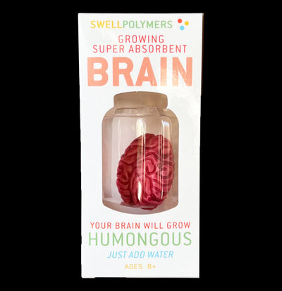Grow a Brain Science Kit-Kids-Copernicus-PaxtonGate